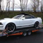 Ford mustang Brandschaden
