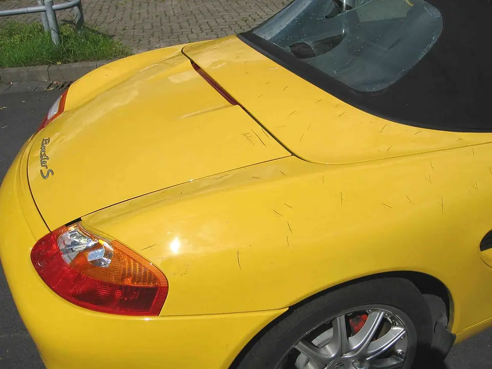 sportwagen.de